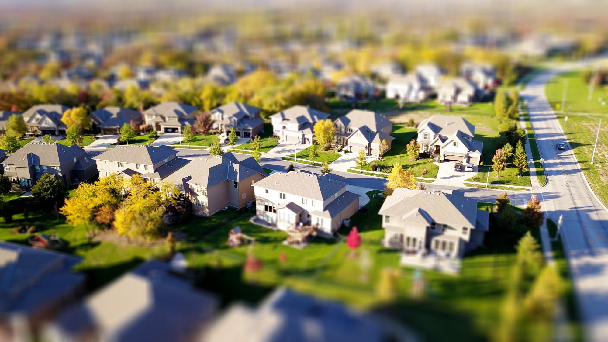 Tree-lined suburban neighborhood in early fall